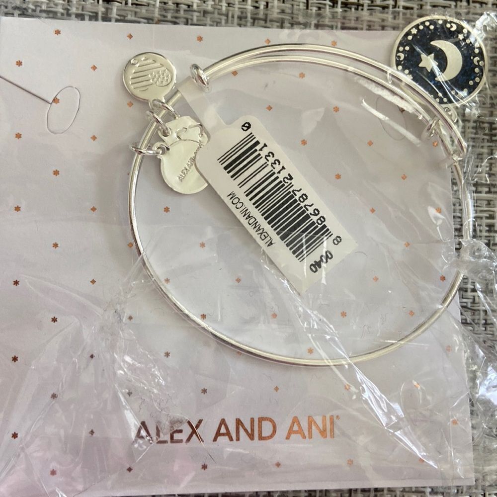 Alex and Ani silver bracelet new with tags